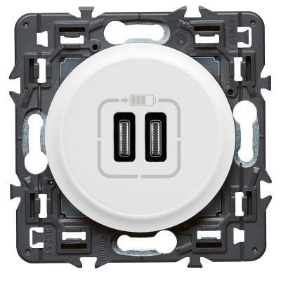 Зарядное устройство с двумя USB type C разъемами Legrand Celiane белый